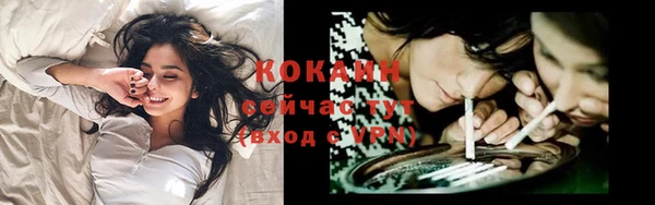 apvp Белокуриха